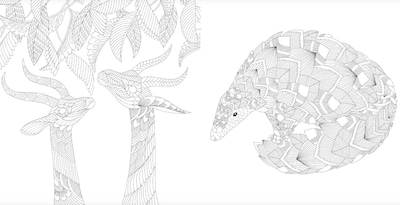 Foto 3 | Foto 3 | Bestias Brillantes Millie Marotta Blume Tapa Blanda