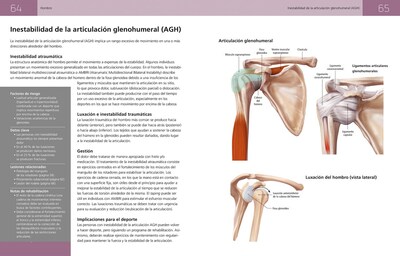 Foto 2 | Foto 2 | Anatomia Del Entrenamiento De Elite Stephen Erle Librero Tapa Blanda