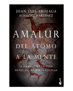 Foto 1 | Foto 1 | Libro ''amalur''
