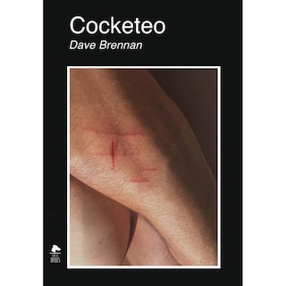 Foto 1 | Foto 1 | Libro Cocketeo
