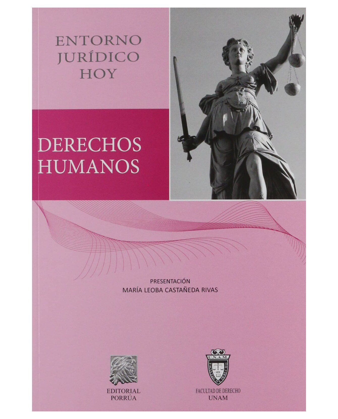 Libro Derechos Humanos Entorno Jurídico Hoy- Editorial Porrúa ...