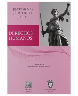 Foto 1 | Foto 1 | Libro Derechos Humanos Entorno Jurídico Hoy- Editorial Porrúa - Castañeda Rivas, María Leoba