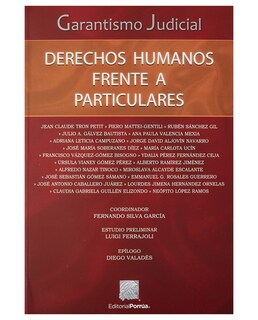 Foto 1 | Foto 1 | Libro Garantismo Judicial: Derechos Humanos Frente A Particulares- Editorial Porrúa - Silva García, Fernando