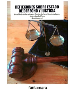 Foto 1 | Foto 1 | Libro Reflexiones Sobre Estado De Derecho Y Justicia - Fontamara - Miguel De Jesús Neria Govea