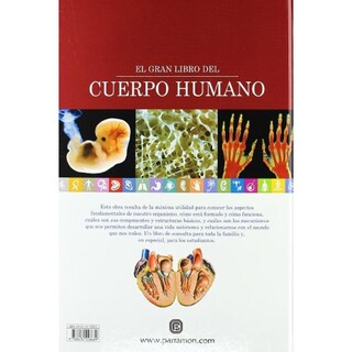 Foto 2 | Foto 2 | El Gran Libro Del Cuerpo Humano
