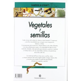 Foto 2 | Foto 2 | ¡vamos A Crear! Vegetales Y Semillas
