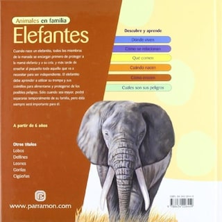 Foto 2 | Foto 2 | Elefantes