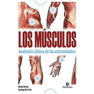 Foto 1 | Foto 1 | Los Músculos