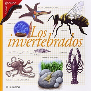 Foto 1 | Foto 1 | Los Invertebrados
