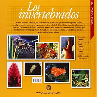 Foto 2 | Foto 2 | Los Invertebrados