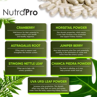 Foto 4 | Foto 4 | Suplemento Para La Limpieza De Los Riñones Y El Apoyo A La Vejiga Nutrapro - Venta Internacional.