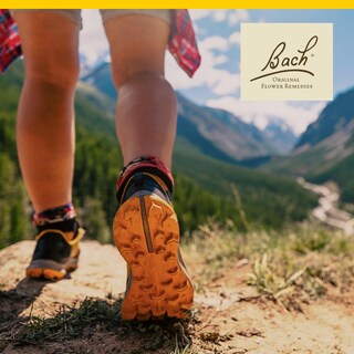 Foto 4 | Foto 4 | Avena Silvestre Original De Flower Essence Bach 20 Ml Vegana Sin Gluten - Venta Internacional.