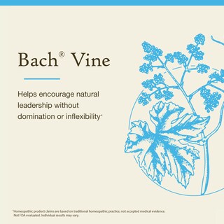 Foto 3 | Foto 3 | Flower Essence Bach Original Vine 20 Ml Vegano Sin Gluten Y Sin Azúcar - Venta Internacional.