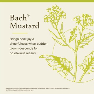 Foto 3 | Foto 3 | Mostaza Original De Flower Essence Bach 20 Ml Vegana Sin Gluten - Venta Internacional.