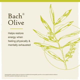 Foto 3 | Foto 3 | Flower Essence Bach Original Olive 20 Ml Vegano Sin Gluten Y Sin Azúcar - Venta Internacional.