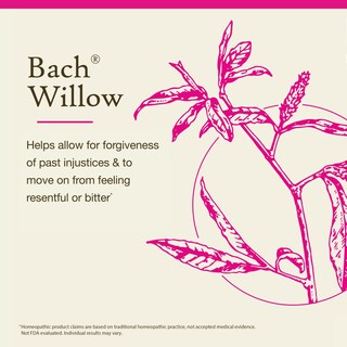 Foto 3 | Foto 3 | Esencia Floral Bach Original Willow 20 Ml Vegana Sin Gluten - Venta Internacional.