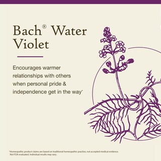 Foto 3 | Foto 3 | Esencia Floral Bach Original Agua Violeta 20 Ml Vegana - Venta Internacional.
