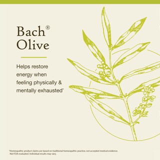 Foto 3 | Foto 3 | Flower Essence Bach Original Olive 10 Ml Sin Alcohol Vegano - Venta Internacional.