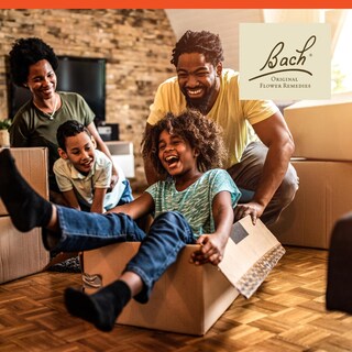 Foto 4 | Foto 4 | Remedios Florales Bach Cherry Plum 20 Ml Veganos Sin Gluten - Venta Internacional.