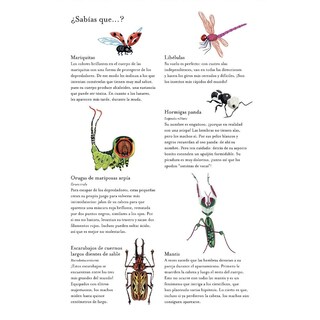 Foto 3 | Foto 3 | En Busca De Los Pequeños Seres Más Increíbles De Nuestro Hermoso Planeta