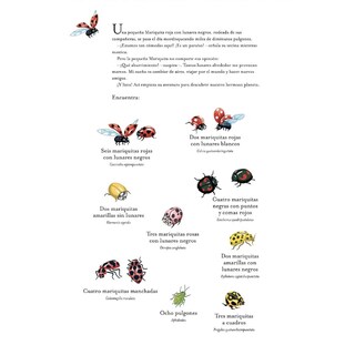 Foto 4 | Foto 4 | En Busca De Los Pequeños Seres Más Increíbles De Nuestro Hermoso Planeta