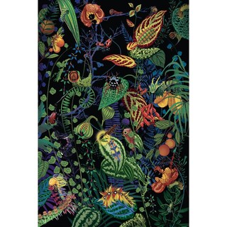 Foto 5 | Foto 5 | En Busca De Los Pequeños Seres Más Increíbles De Nuestro Hermoso Planeta