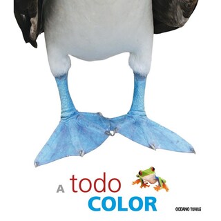 Foto 1 | Foto 1 | Libro A Todo Color