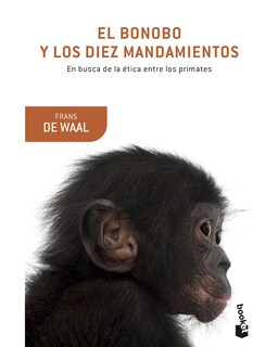 Foto 1 | Foto 1 | El Bonobo Y Los Diez Mandamientos
