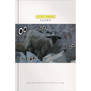 Foto 1 | Foto 1 | Pasmo