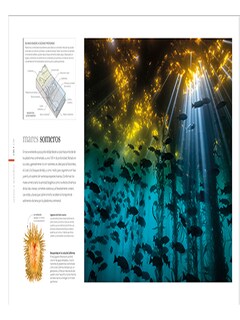 Foto 3 | Foto 3 | Tierra Autor Chris Packham / Dk