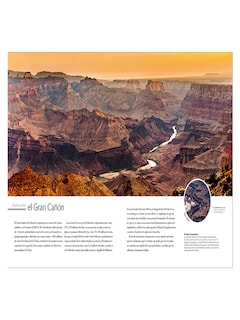Foto 4 | Foto 4 | Tierra Autor Chris Packham / Dk