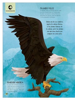 Foto 5 | Foto 5 | El Libro De Los Animales Insólitos Editorial Dk Autor Dk