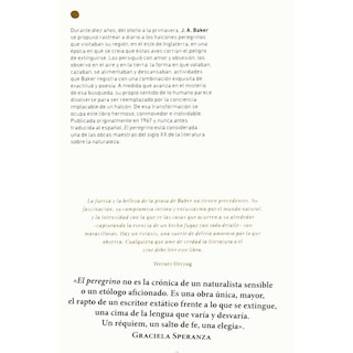 Foto 2 | Foto 2 | El Peregrino (nueva Edición)