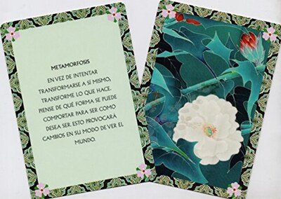 Foto 3 | Foto 3 | Baraja De Conciencia Plena (mindfulness) Barbara Ann Kipler Librero Tapa Blanda
