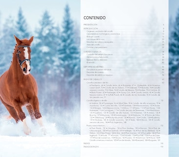 Foto 2 | Foto 2 | Enciclopedia Ilustrada Del Caballo De Carmen Martul Marin Tapa Dura