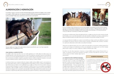 Foto 3 | Foto 3 | Enciclopedia Ilustrada Del Caballo De Carmen Martul Marin Tapa Dura