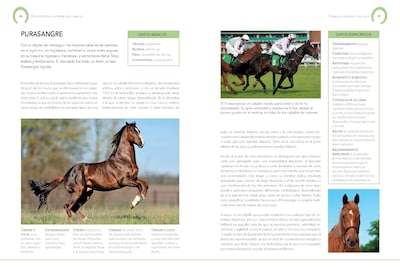 Foto 4 | Foto 4 | Enciclopedia Ilustrada Del Caballo De Carmen Martul Marin Tapa Dura