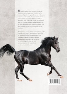 Foto 5 | Foto 5 | Enciclopedia Ilustrada Del Caballo De Carmen Martul Marin Tapa Dura