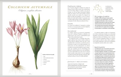 Foto 3 | Foto 3 | Botanicum Medicinale Catherine Whitiock Blume Pasta Dura