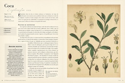 Foto 2 | Foto 2 | 50 Plantas Que Han Cambiado La Historia Bill Laws Librero Pasta Dura