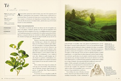 Foto 4 | Foto 4 | 50 Plantas Que Han Cambiado La Historia Bill Laws Librero Pasta Dura