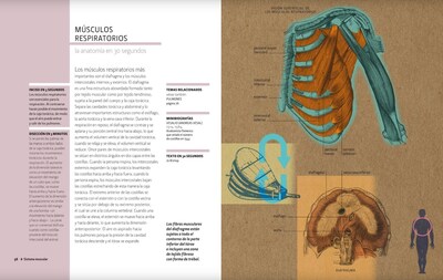 Foto 2 | Foto 2 | 50 Estructuras Y Sistemas De Anatomia Humana Gabrielle M. Finn Blume Tapa Blanda