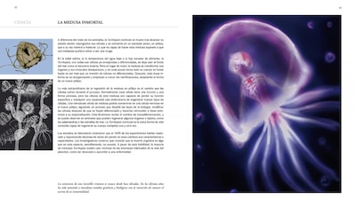 Foto 2 | Foto 2 | Secretos Del Infinito Antonio Lamua Librero Pasta Dura
