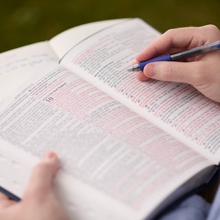 Foto 4 | Foto 4 | Bible Christian Art Gifts Kjv Santa Biblia, Tamaño Estándar, Rosa - Venta Internacional.