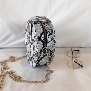 Foto 5 | Foto 5 | Bolso De Mano Huoguo Retro Con Cadena Serpentina Redonda De Piel Sintética - Venta Internacional.