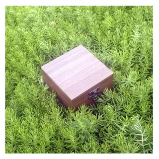 Foto 4 | Foto 4 | Caja Organizadora Madera Nogal Para Relojes Lab.g, Cafe Oscuro Beige