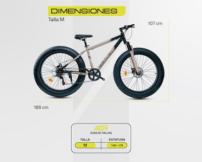 Foto 3 | Foto 3 | Bicicleta Aspen 4.0 Gris