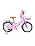 Bicicleta Infantil con Ruedas y Accesorios Morada par Niña