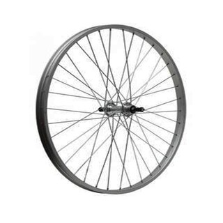 Foto 1 | Foto 1 | Rin para Bicicleta Bicimex Rear R20 36h Plateado