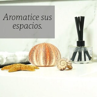 Foto 2 | Foto 2 | Aromatizante de Ambiente Reed Diffuser - Punto Aroma - Minty White Tea